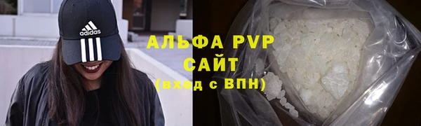 PSILOCYBIN Верея