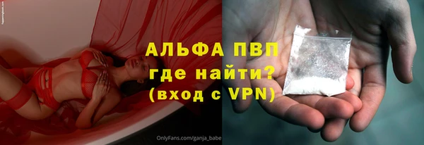 PSILOCYBIN Верея