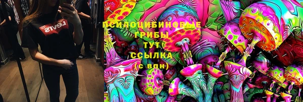 PSILOCYBIN Верея