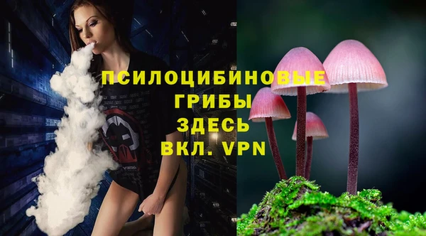 ALPHA PVP Волоколамск