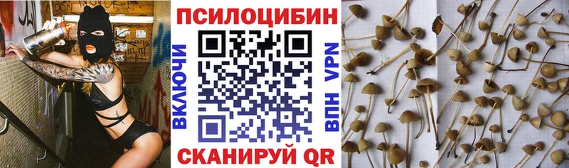 хочу   Снежинск  Галлюциногенные грибы мухоморы 